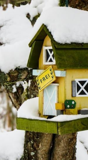 green and yellow frei birdhouse thumbnail