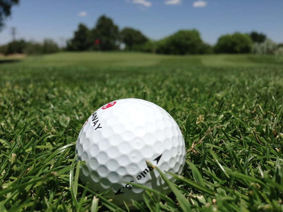 Grass, Golf, Golf Course, Golf Ball, golf, golf ball preview