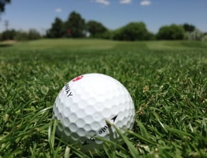 Grass, Golf, Golf Course, Golf Ball, golf, golf ball thumbnail