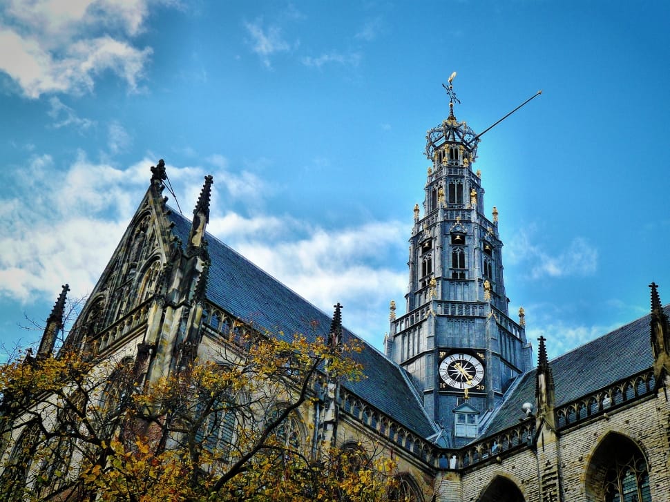 Church, Netherlands, Haarlem, building exterior, architecture preview