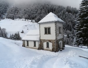white and brown concrete 2-storey house near pine trees on alps at daytime thumbnail