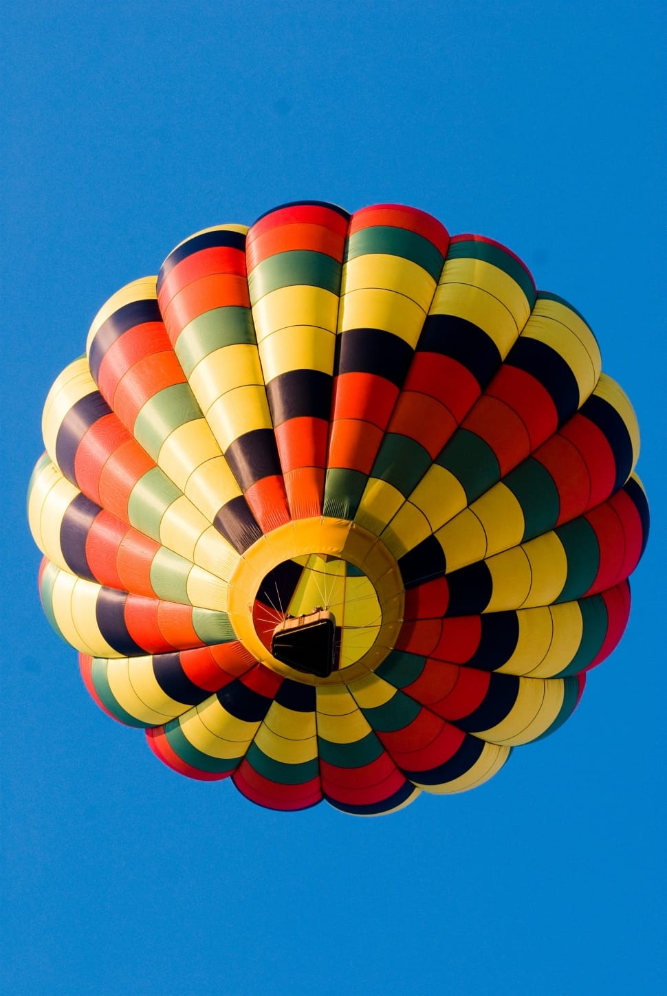 multicolored hot air balloon preview