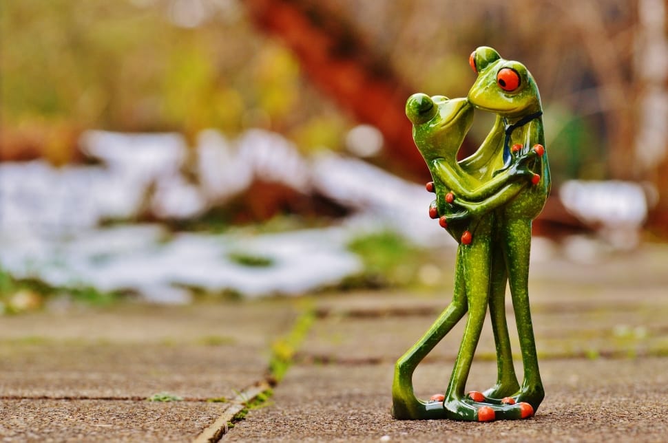Frogs, Kiss, Love, Pair, Valentine'S Day, focus on foreground, green color preview