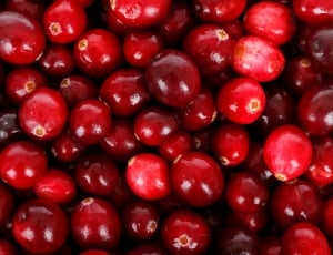 red oval fruits thumbnail