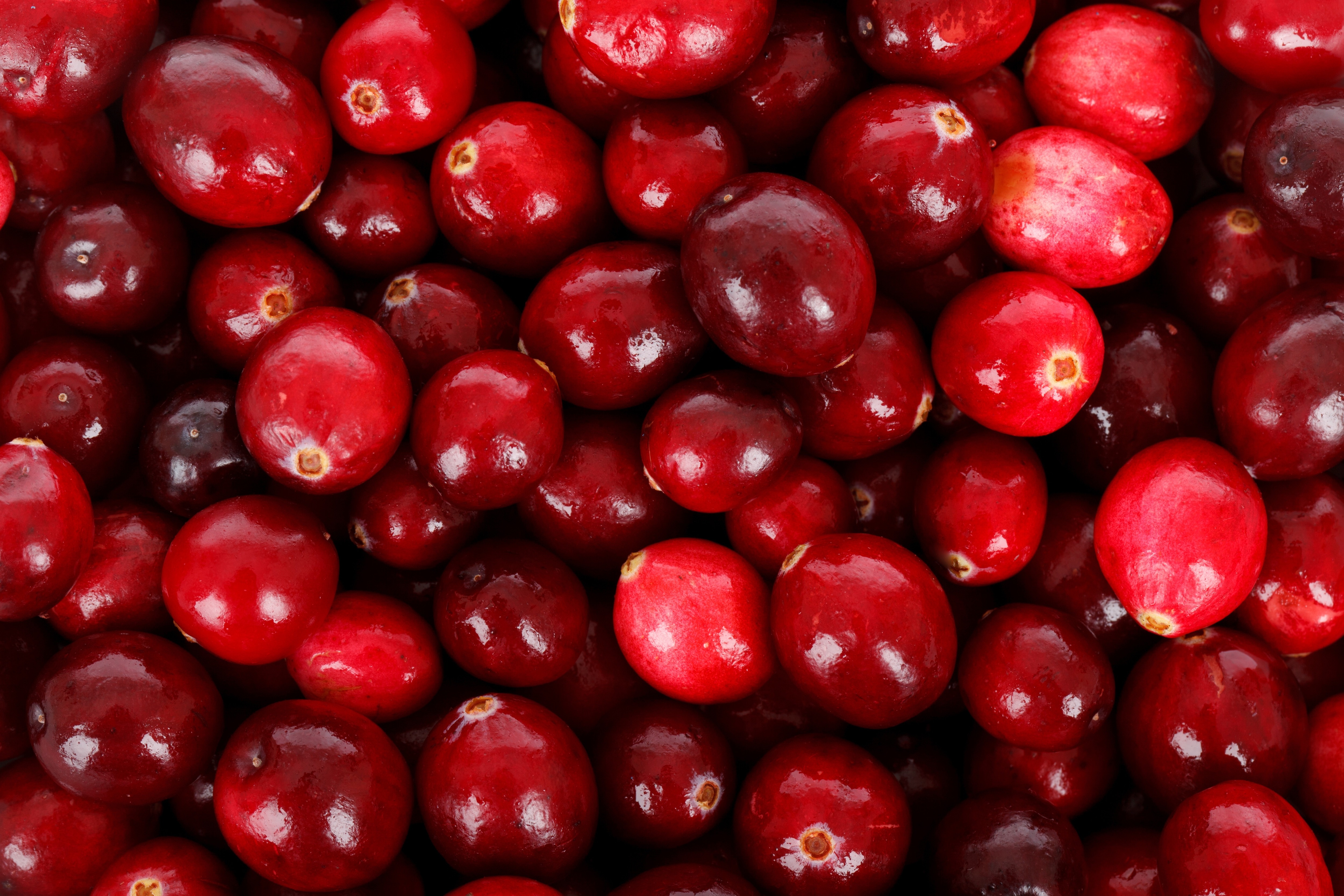 red oval fruits