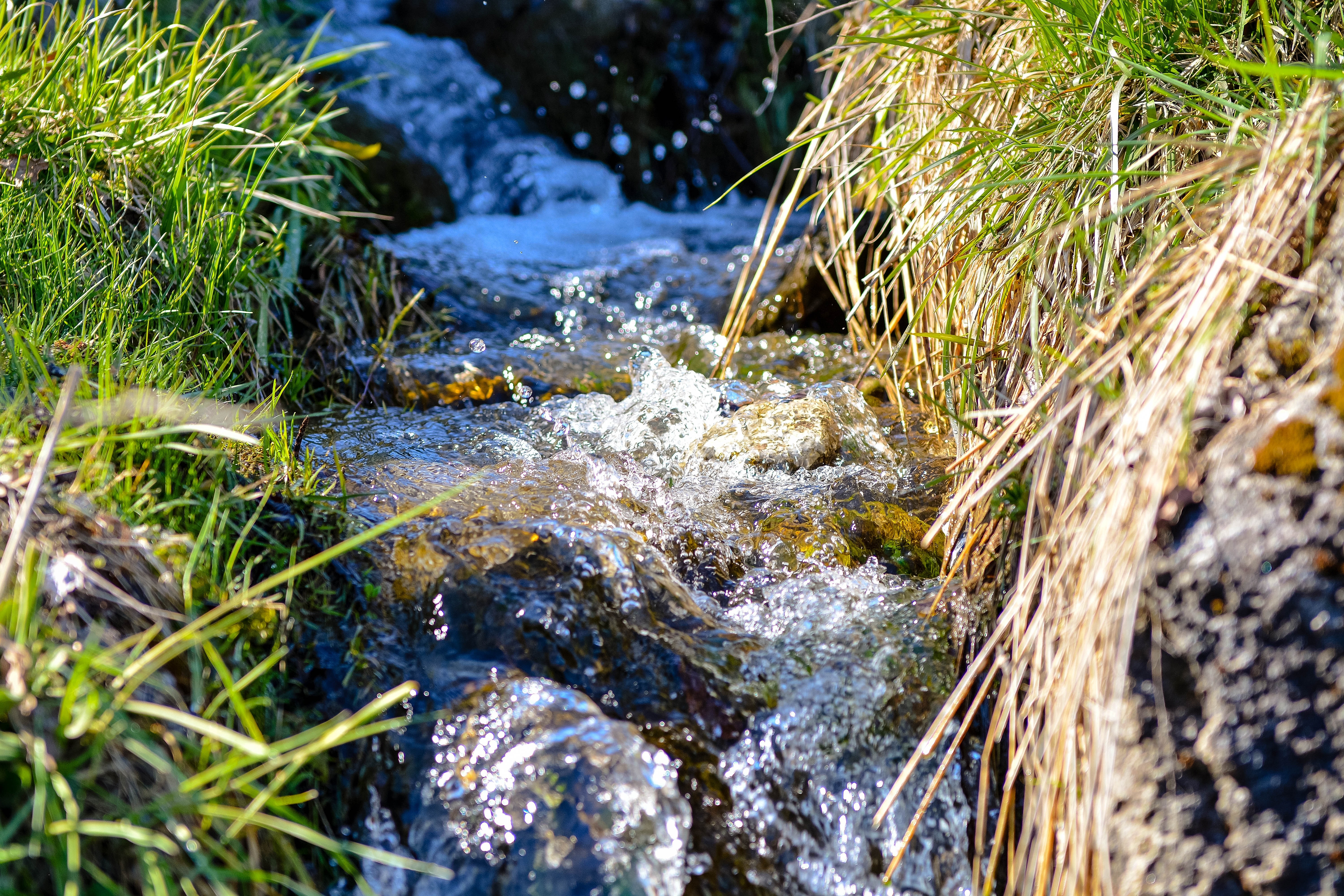 Не спокойными потоками воды. Монастырский (ручей). Вода ручей. Прозрачный ручей. Поток воды ручей.