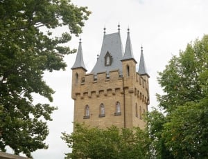 Tower, Fortress, Gate Tower, Castle, tree, history thumbnail
