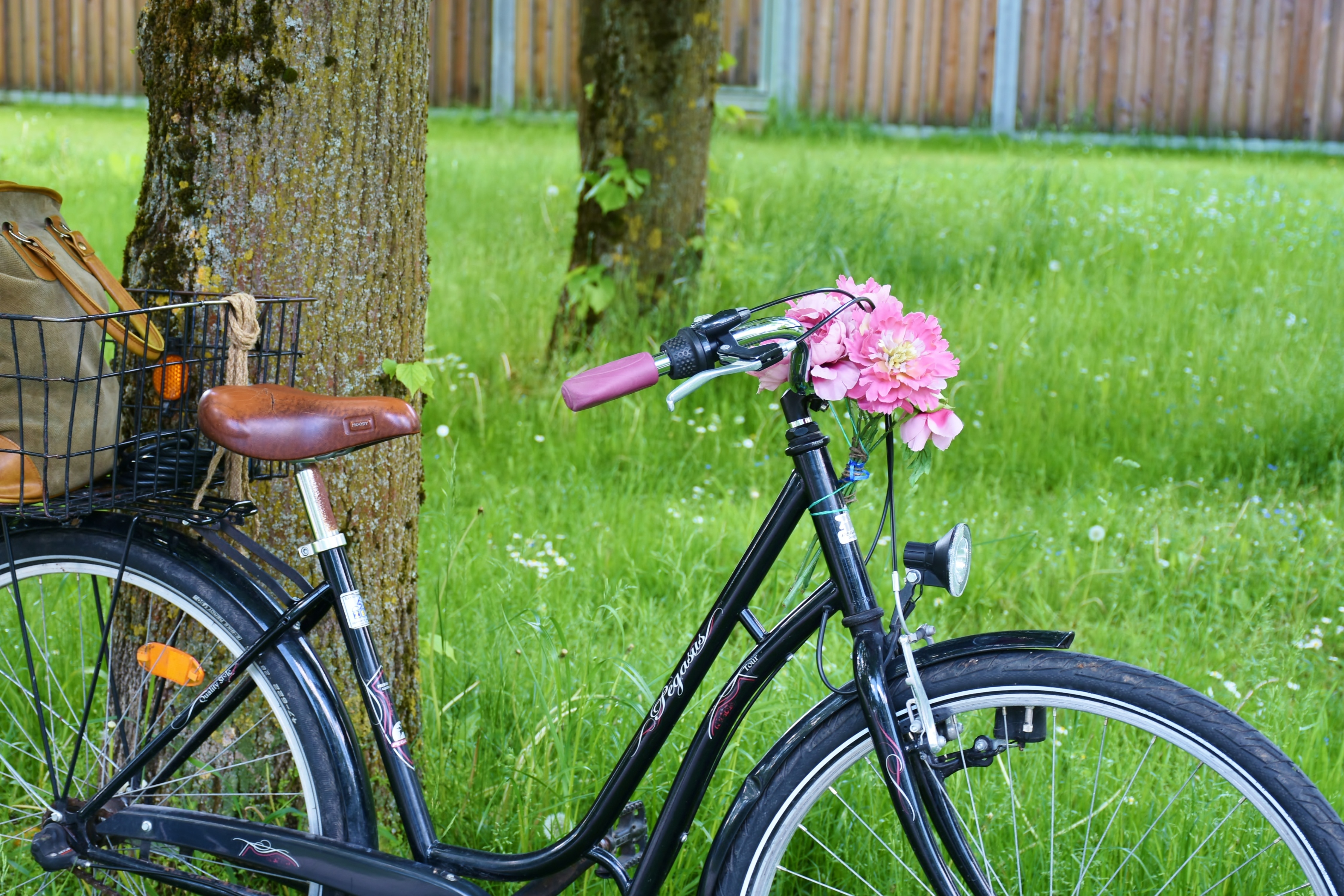 brown black and pink city bike