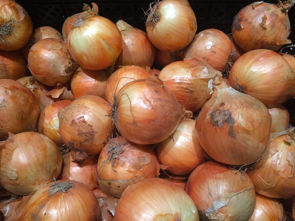 brown onion lot preview