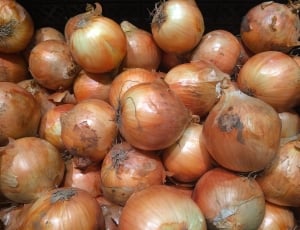 brown onion lot thumbnail