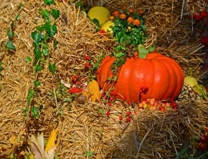 orange artificial pumpkin decoration thumbnail