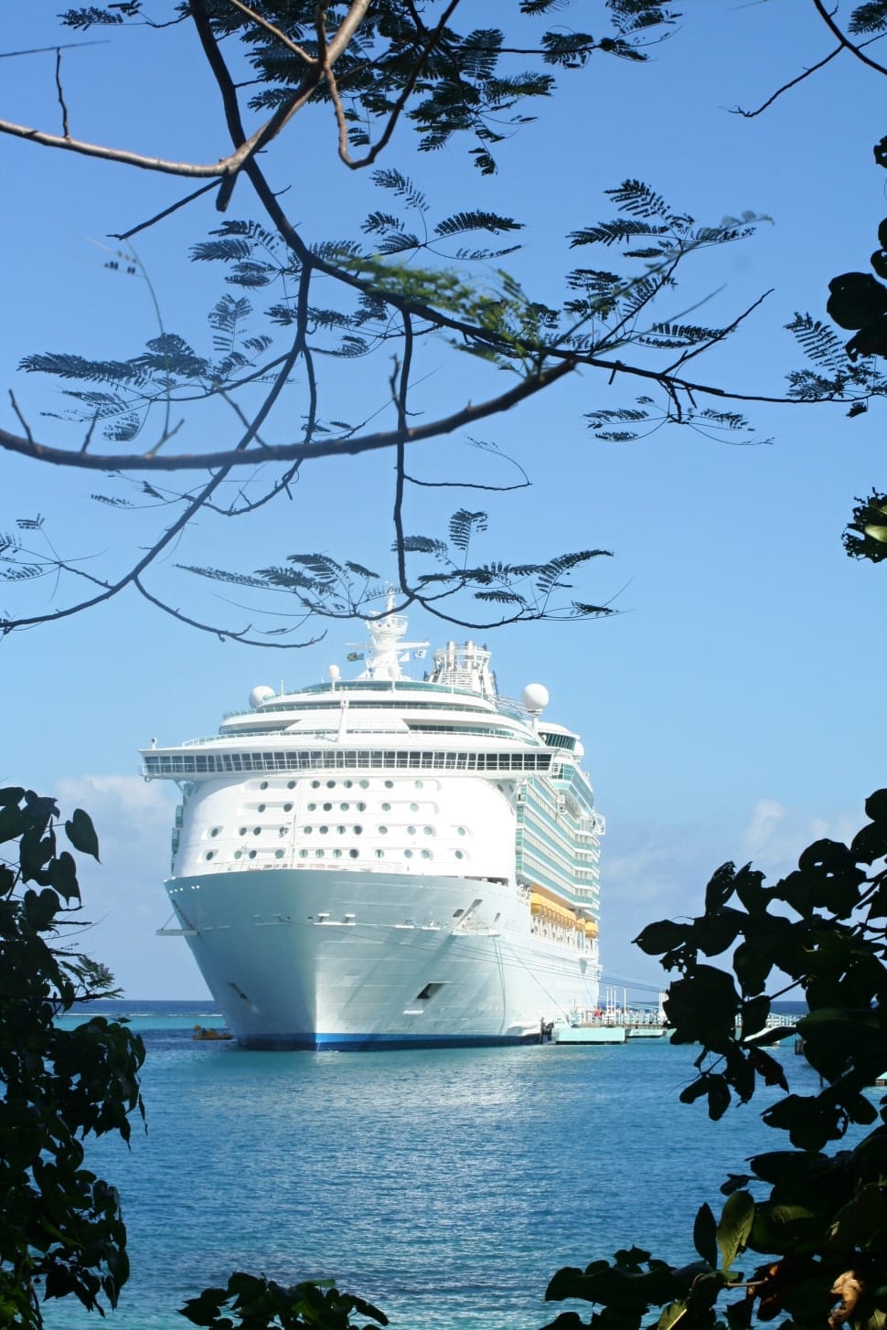 Sea, Water, Cruise Ships, Cruise, Ship, sky, tree preview
