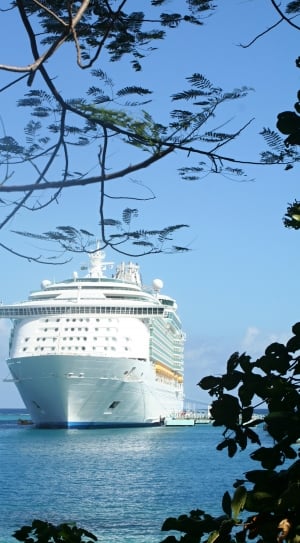 Sea, Water, Cruise Ships, Cruise, Ship, sky, tree thumbnail
