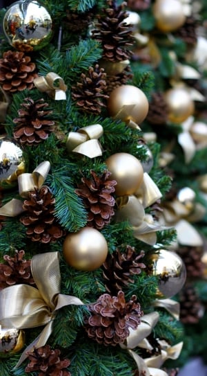 close up photo of christmas tree thumbnail
