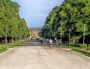 Dresden, Germany, Bicycles, Scenic, Road, tree, sky thumbnail