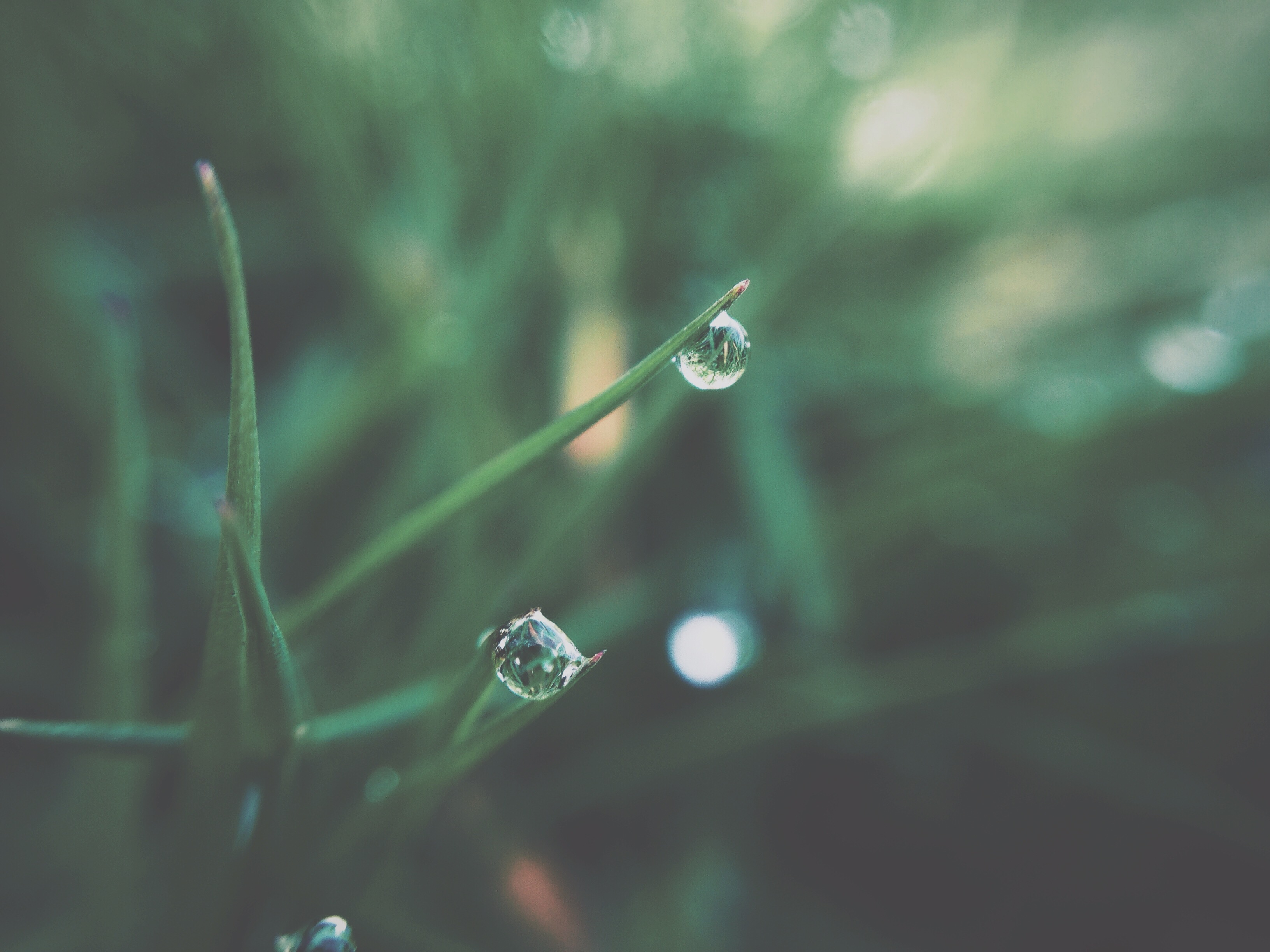 1920x1200 wallpaper | water droplet | Peakpx