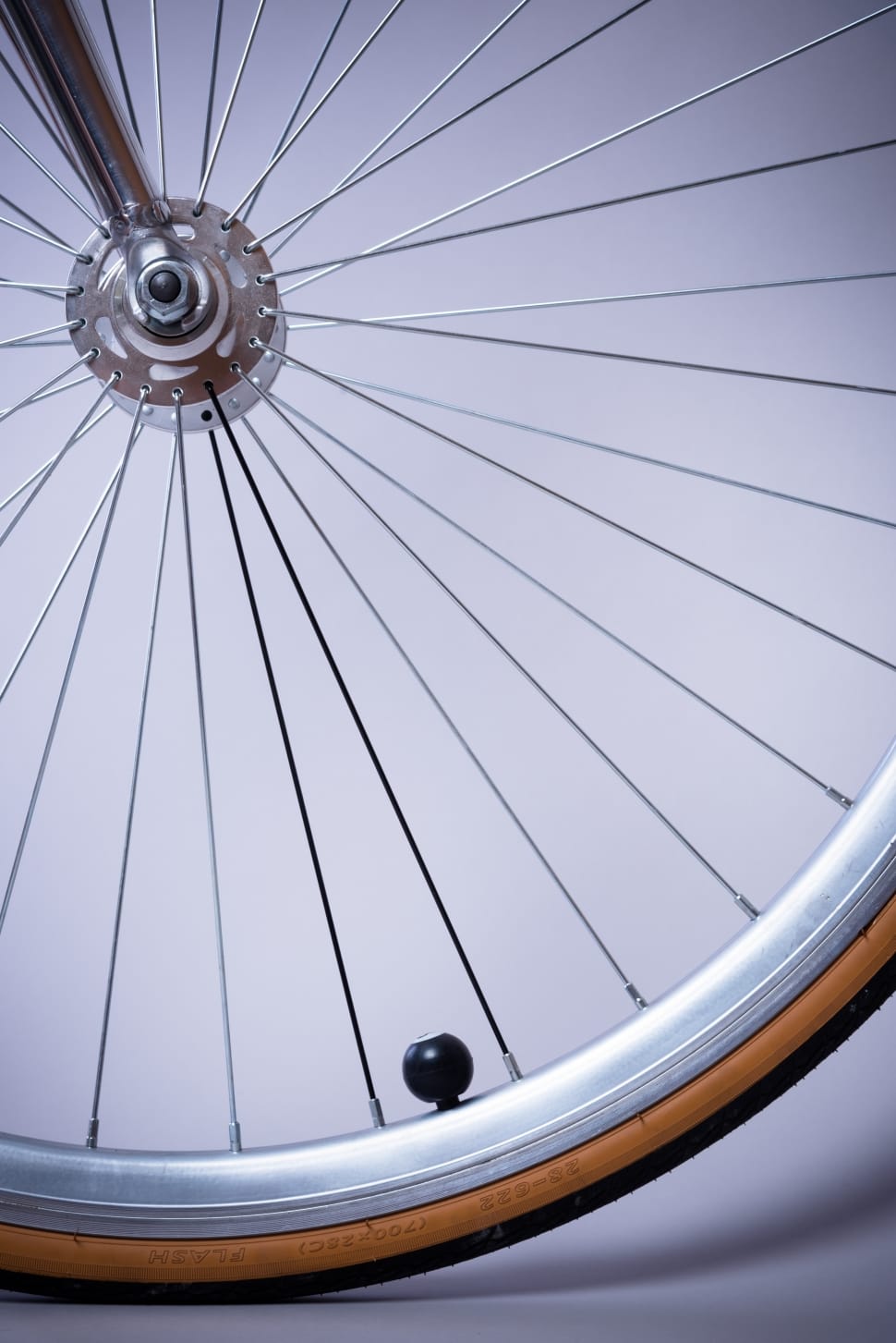 stainless steel wire spoke bicycle wheel and tire preview