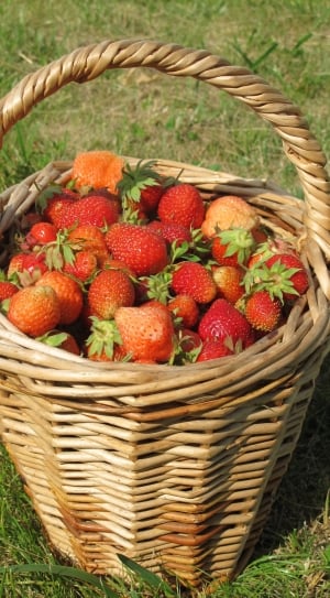 bunch of strawberries thumbnail