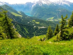 green and snowcapped mountains thumbnail