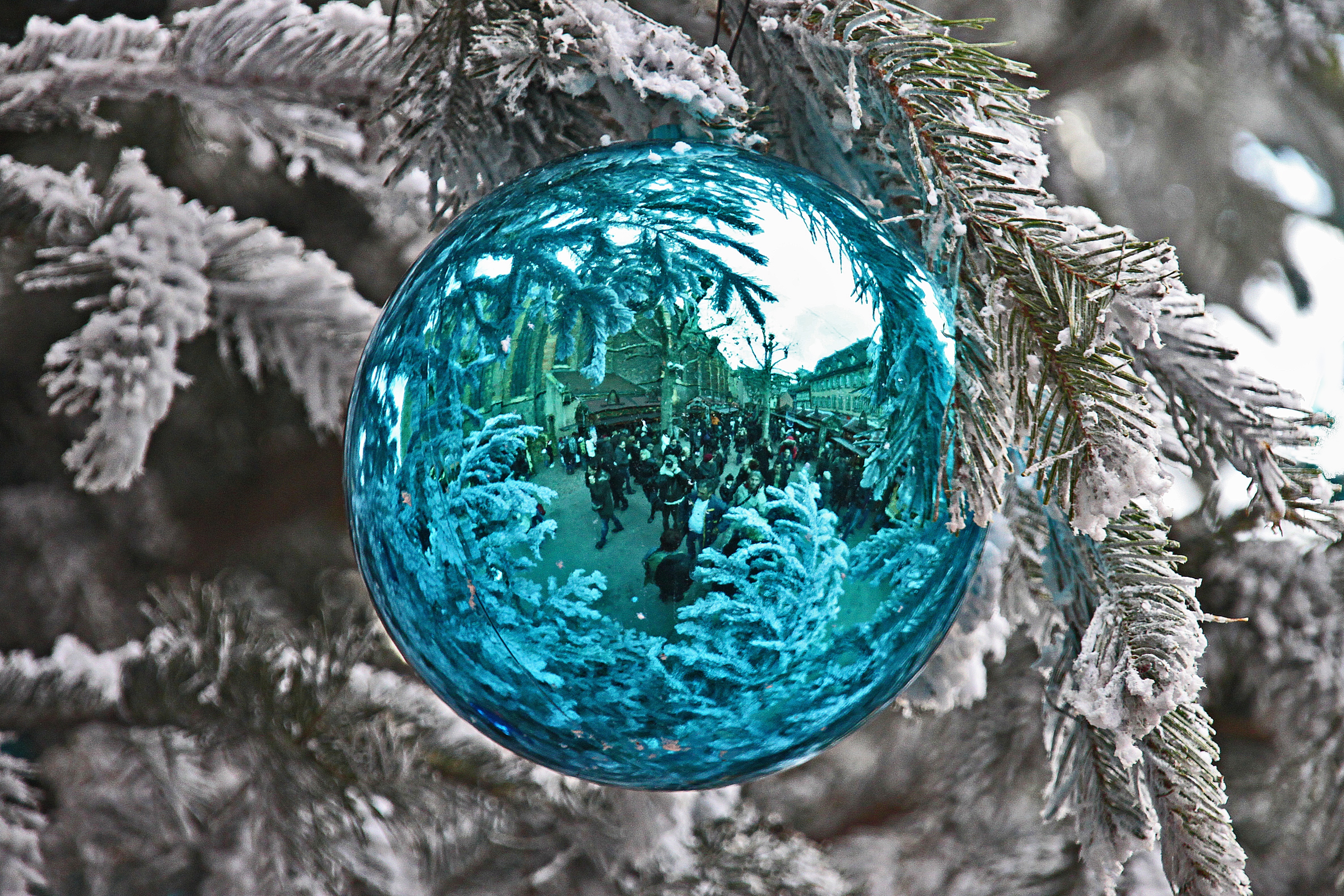 blue Baubles in closeup photography