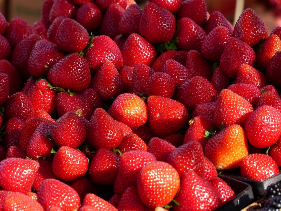bunch of strawberries preview