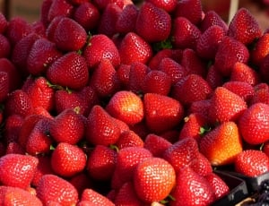 bunch of strawberries thumbnail