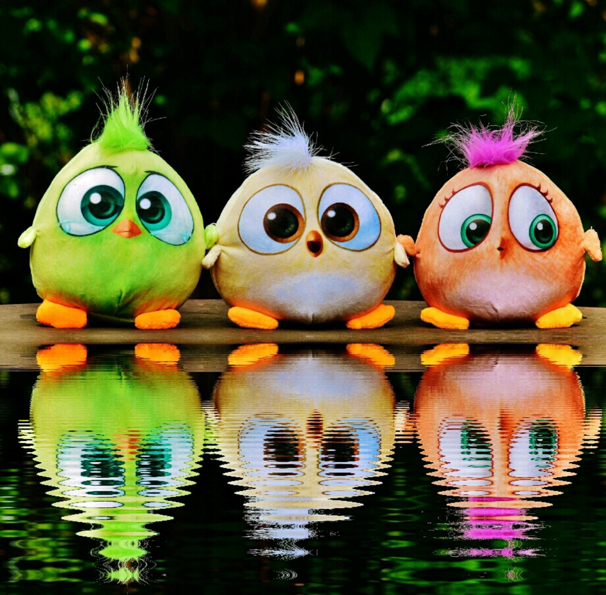 3 baby birds from angry birds movie