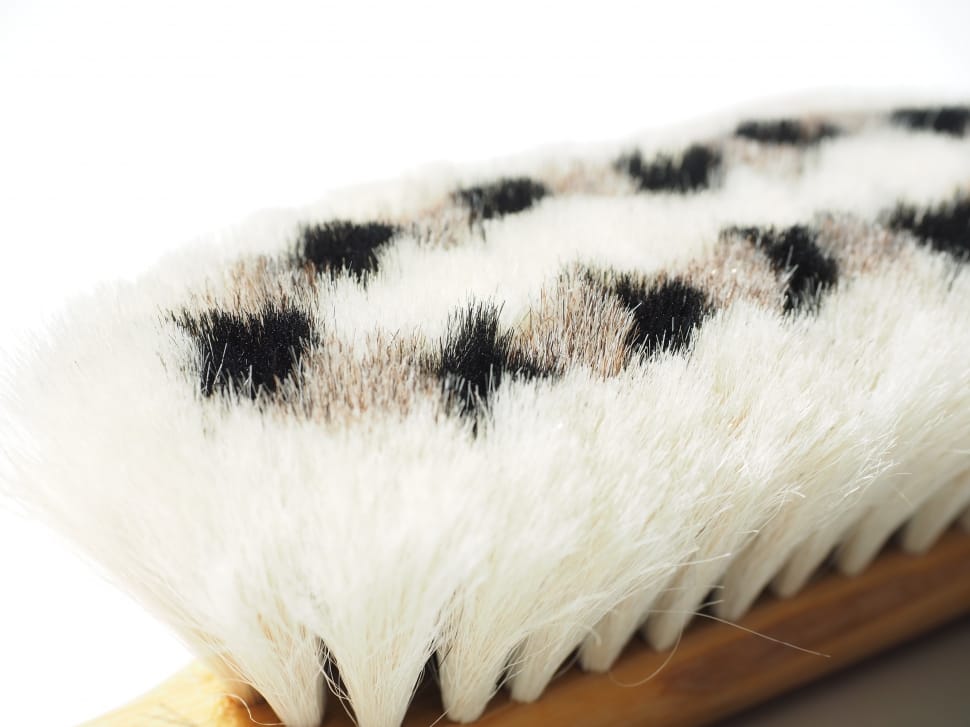 white and black shoe brush preview