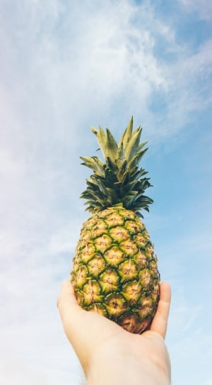 low angle photo of green and yellow pineapple under white and blue cloudy sky during daytime thumbnail