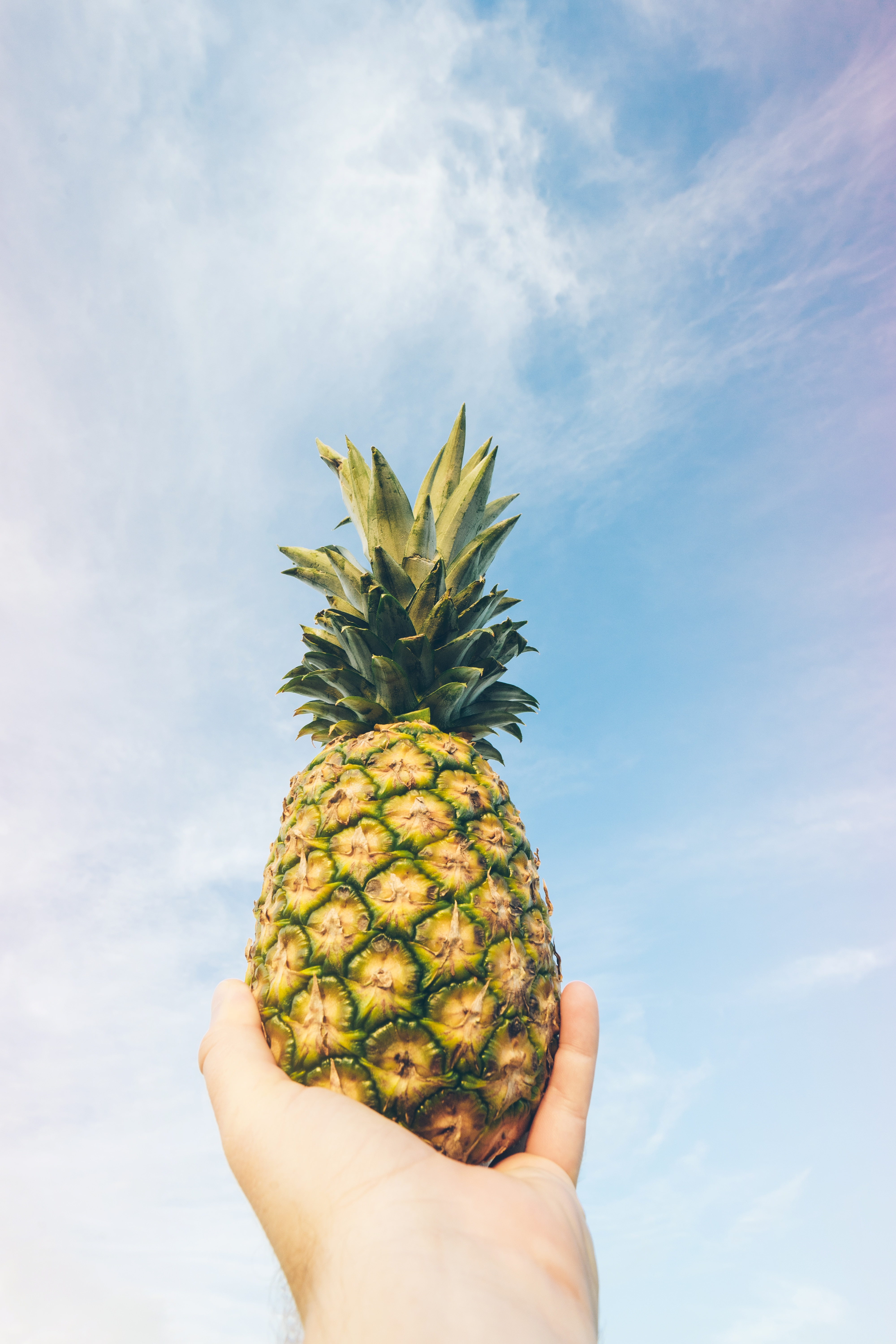 low angle photo of green and yellow pineapple under white and blue cloudy sky during daytime