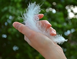 Girl, Plume, Hand, Woman, Feather, one person, outdoors thumbnail