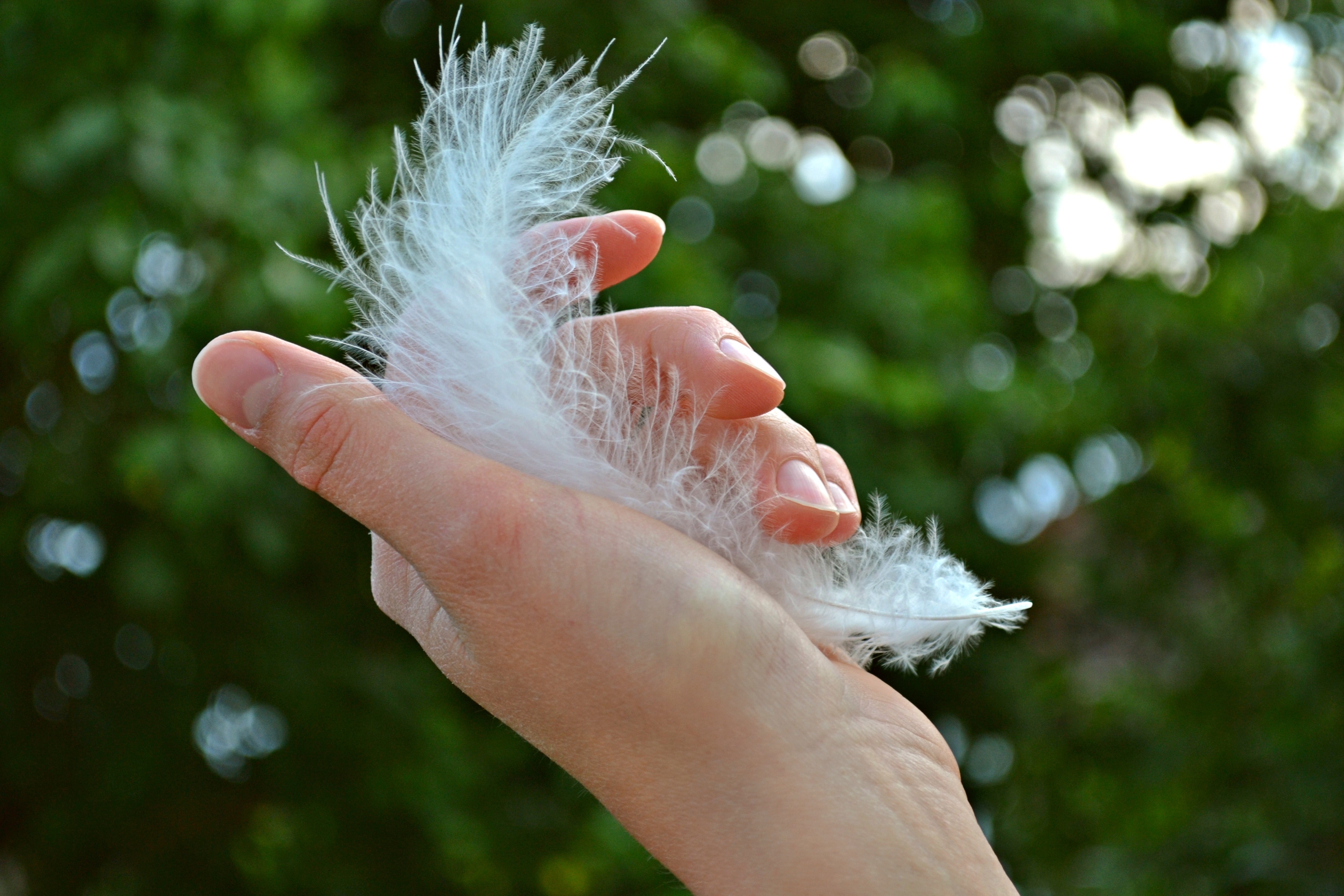 Girl, Plume, Hand, Woman, Feather, one person, outdoors