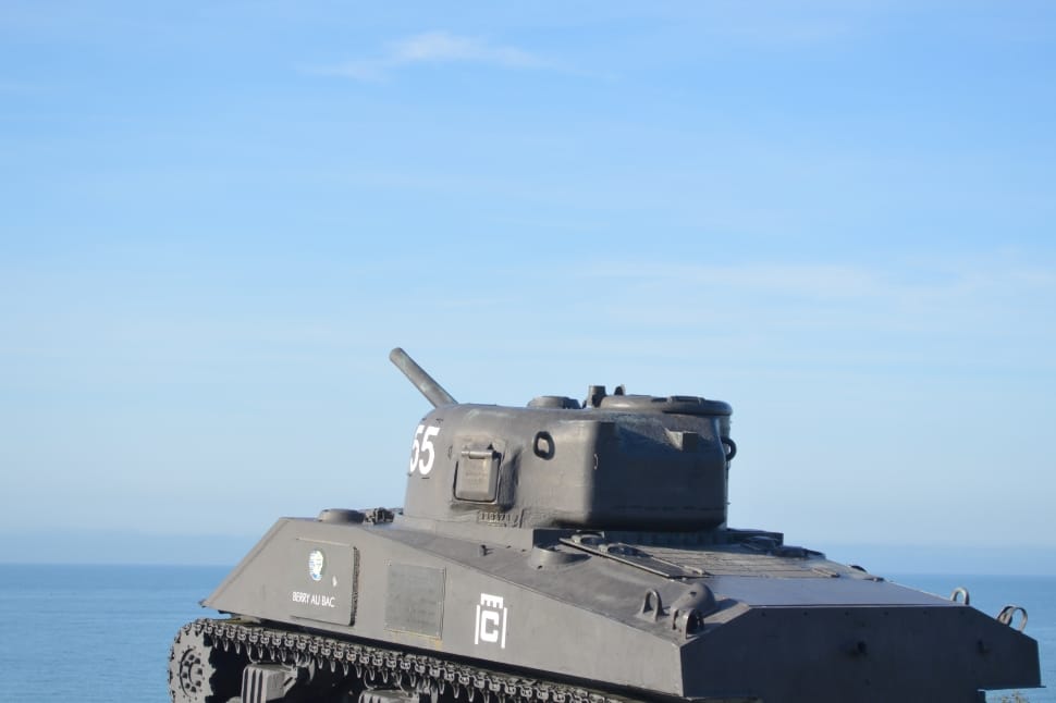 gray tank preview