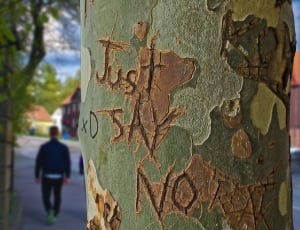 Etched, Tree Trunk, Just Say No, Tree, tree, day thumbnail