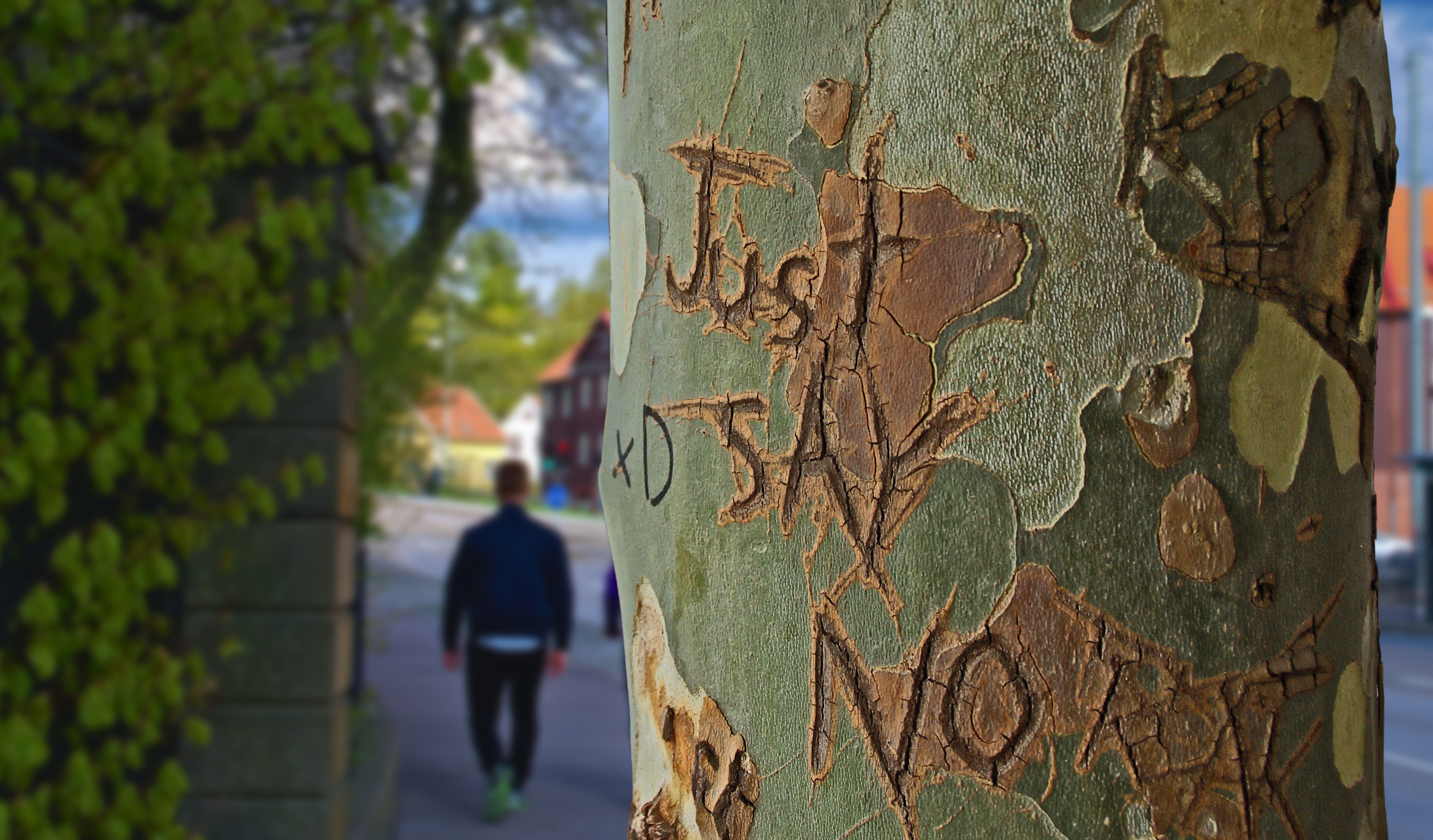 Etched, Tree Trunk, Just Say No, Tree, tree, day