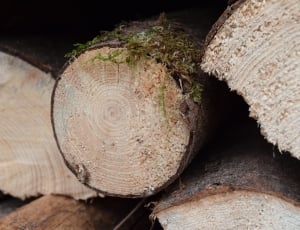 Wood, Firewood, Holzstapel, wood - material, lumber industry thumbnail