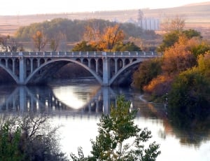 gray concrete bridge near trees and body of water thumbnail