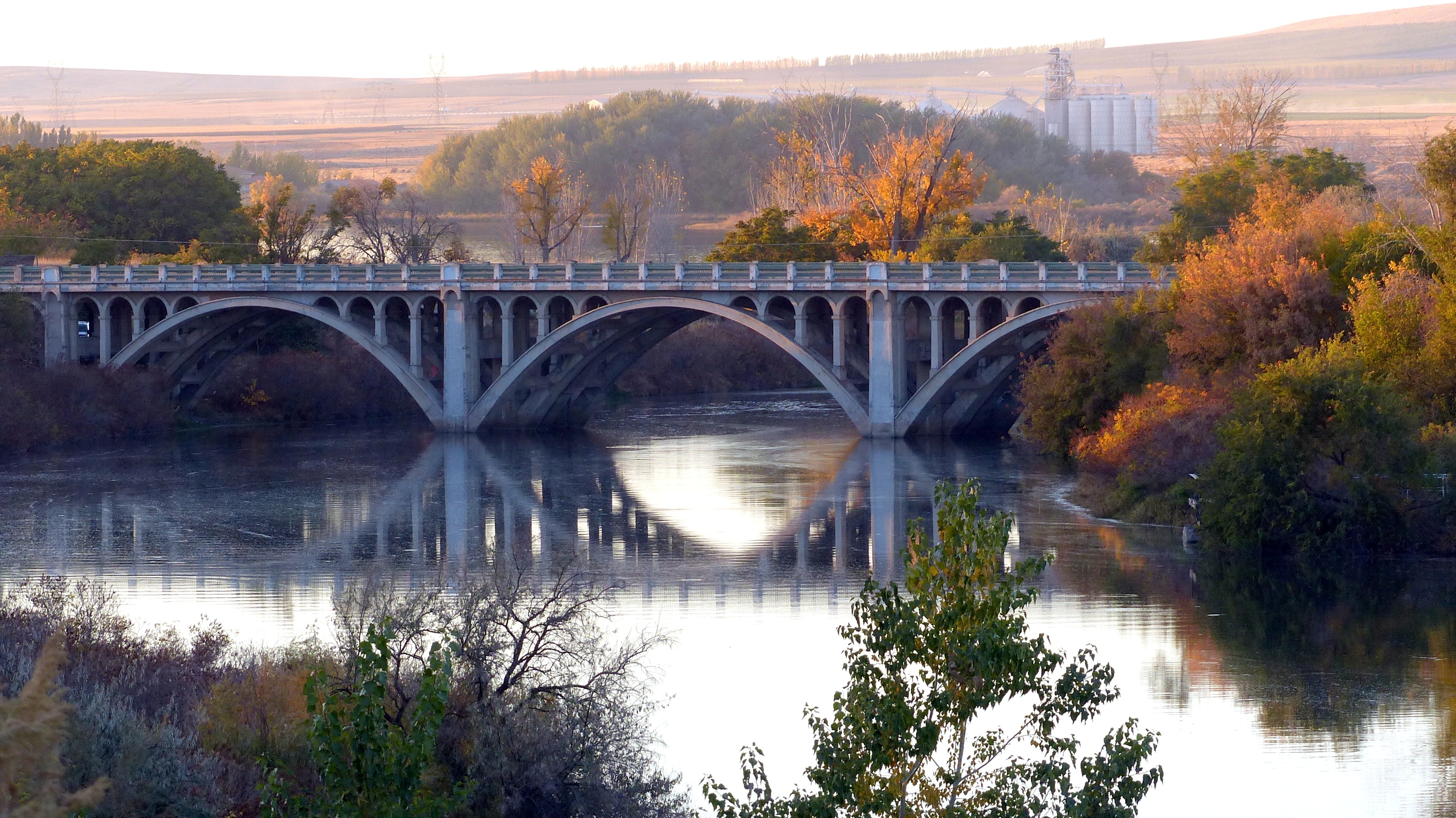gray concrete bridge near trees and body of water