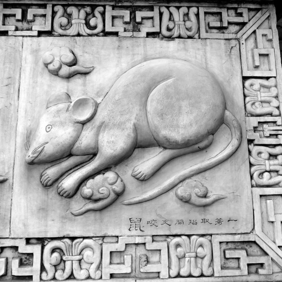 gray rabbit embossed board preview
