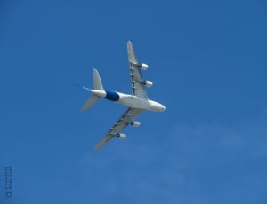 white and blue airliner thumbnail