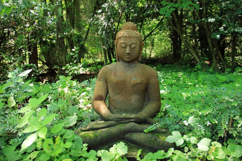 Nature, Rest, Recovery, Stone, Buddha, statue, sculpture preview