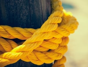 yellow rope thumbnail