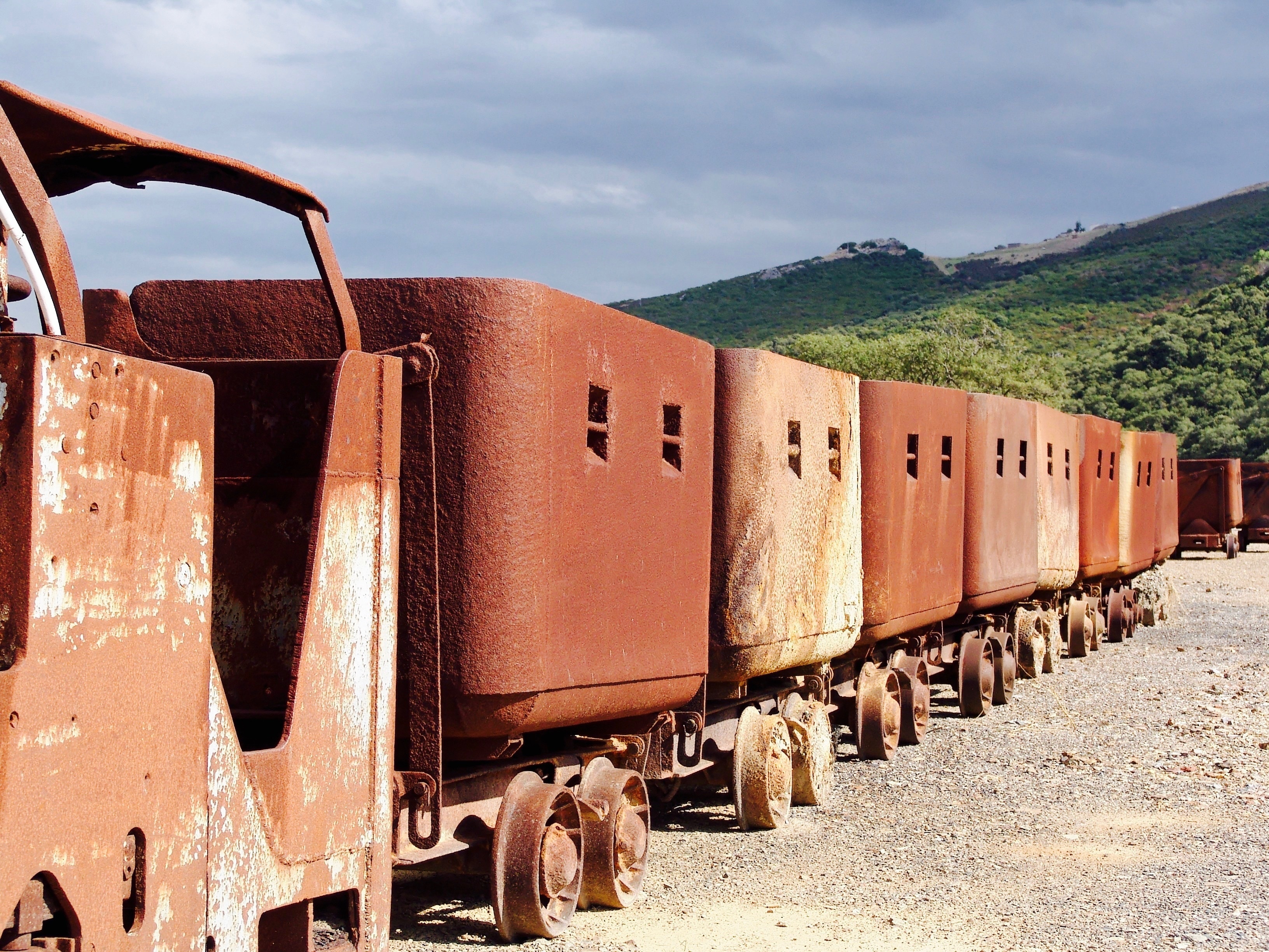 brown train cars