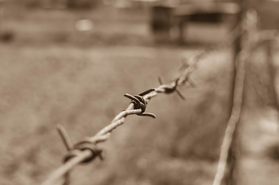 close up photography of barbwire preview