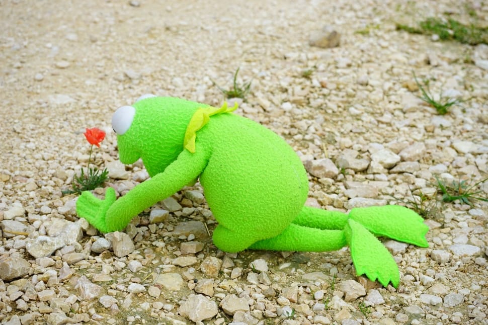 kermit the frog preview