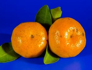 Mandarin, Orange, Citrus Fruit, Fruit, fruit, orange - fruit thumbnail
