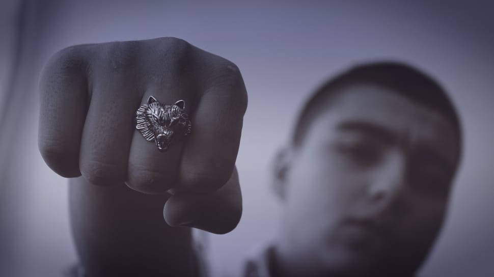 boy wearing silver wolf ring preview