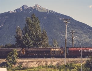 red and black canada train thumbnail