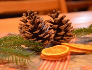 brown pine cone and sliced tangerines thumbnail
