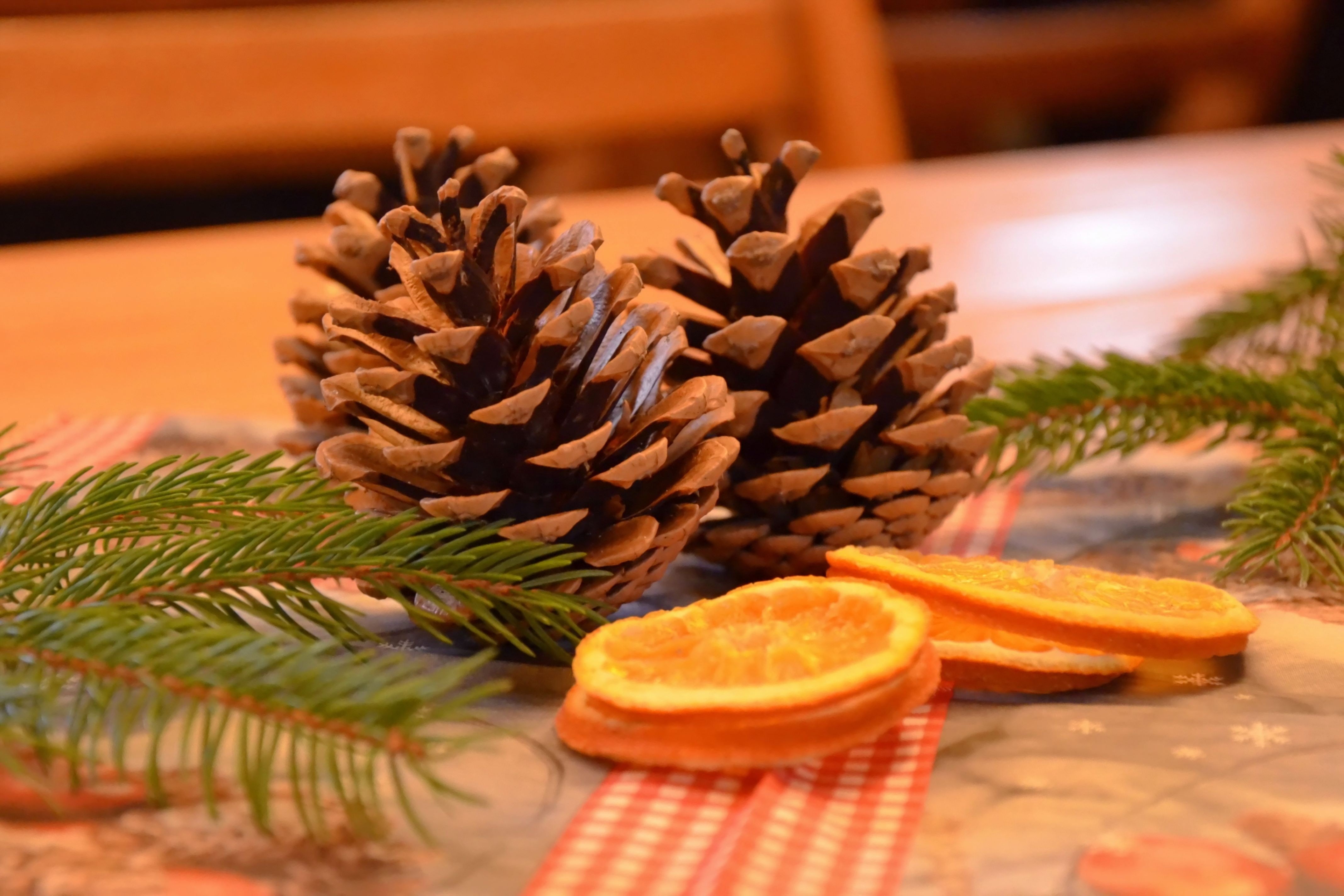 brown pine cone and sliced tangerines